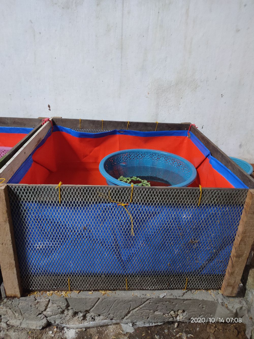 Terpal Kolam 50x50x25 A12 Korea Kolam Mini