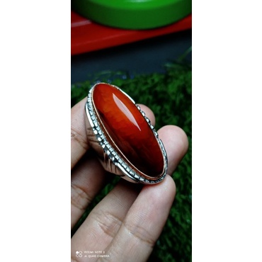 Pandan Merah Sisik Betok