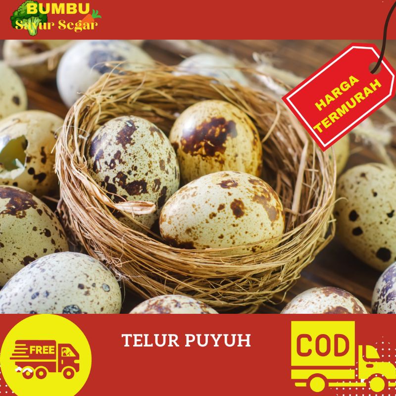 

TELUR PUYUH 10 BUAH