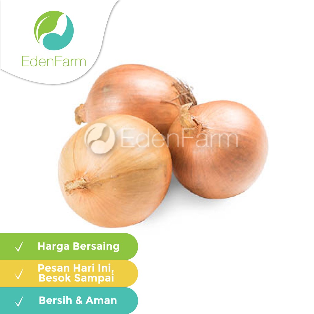 

Bawang Bombay Kecil - Grade A 250 gr (9-11 pcs/kg) Eden Farm