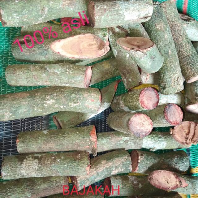 

Akar bajawah kalalawit asli kalimantan