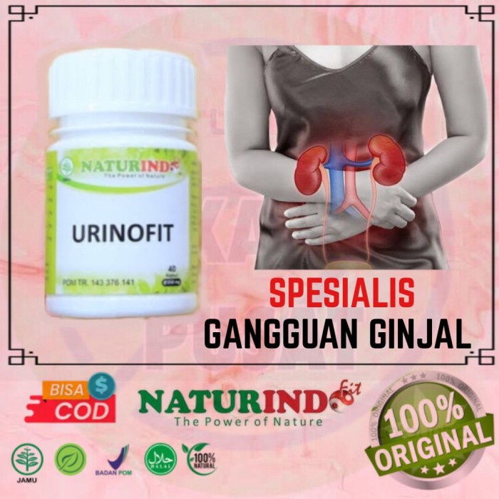 TERLARIS Herbal urinofit naturindo (spesial ginjal) - URINOFIT