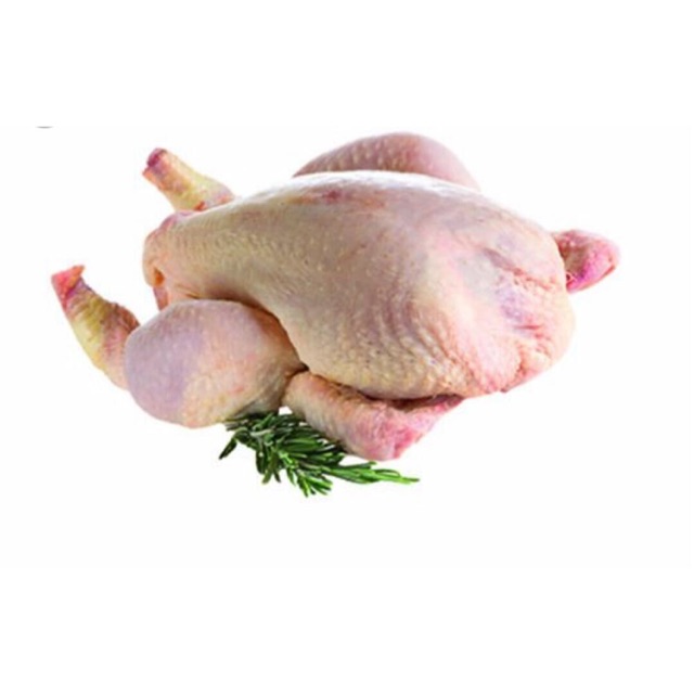 

Ayam karkas / potong broiler bisa kirim via go send