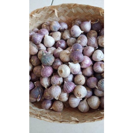 Bawang Putih Tunggal Lanang 500Gr