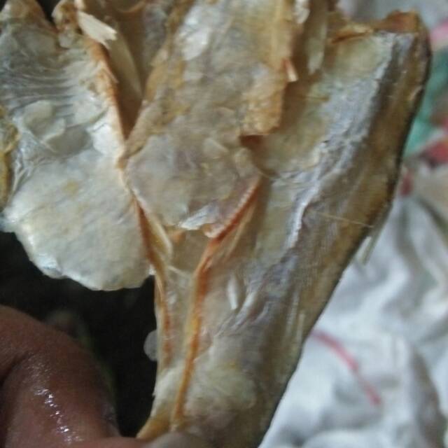 Ikan kering trasak GROSIR /2ons
