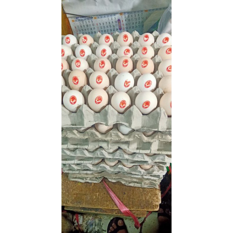 

telur kampung merah perbutir