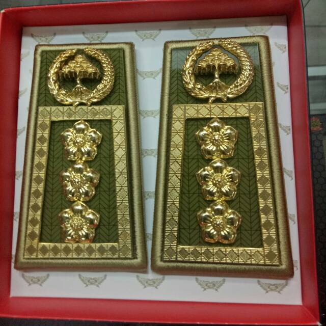 Tanda pangkat asn sulsel gol 4D