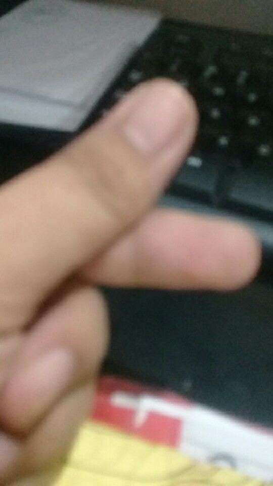 Serbet Pyramid / Koala / Lap Kotak / Kain Lap 50x46 1 Lusin (12pcs)