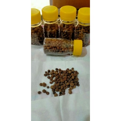

Jamu kembali gadis (rapet)