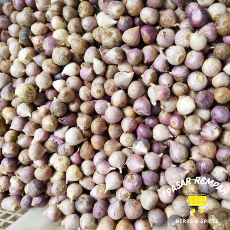 bawang putih tunggal 250gr / bawang putih lanang