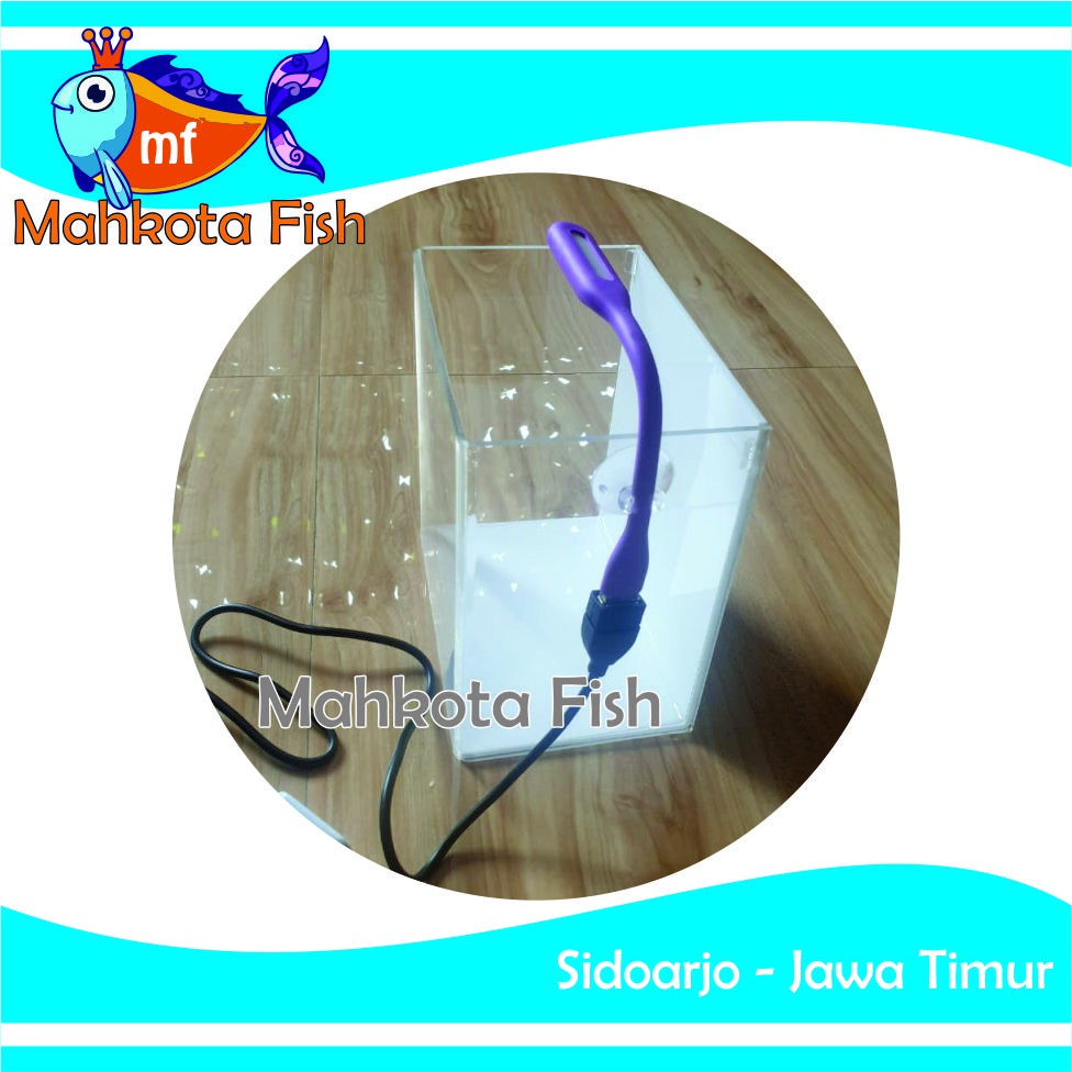 Lampu Aquarium USB | Lampu Cupang | Lampu USB (Ada Kabel USB dan Adaptor Cas) (GRATIS BUBLE WRAP)