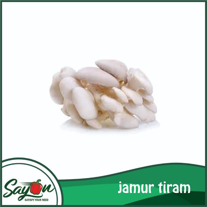 

Jamur Tiram , Jamur Putih , Jamur Sayur - Sayon Jogja