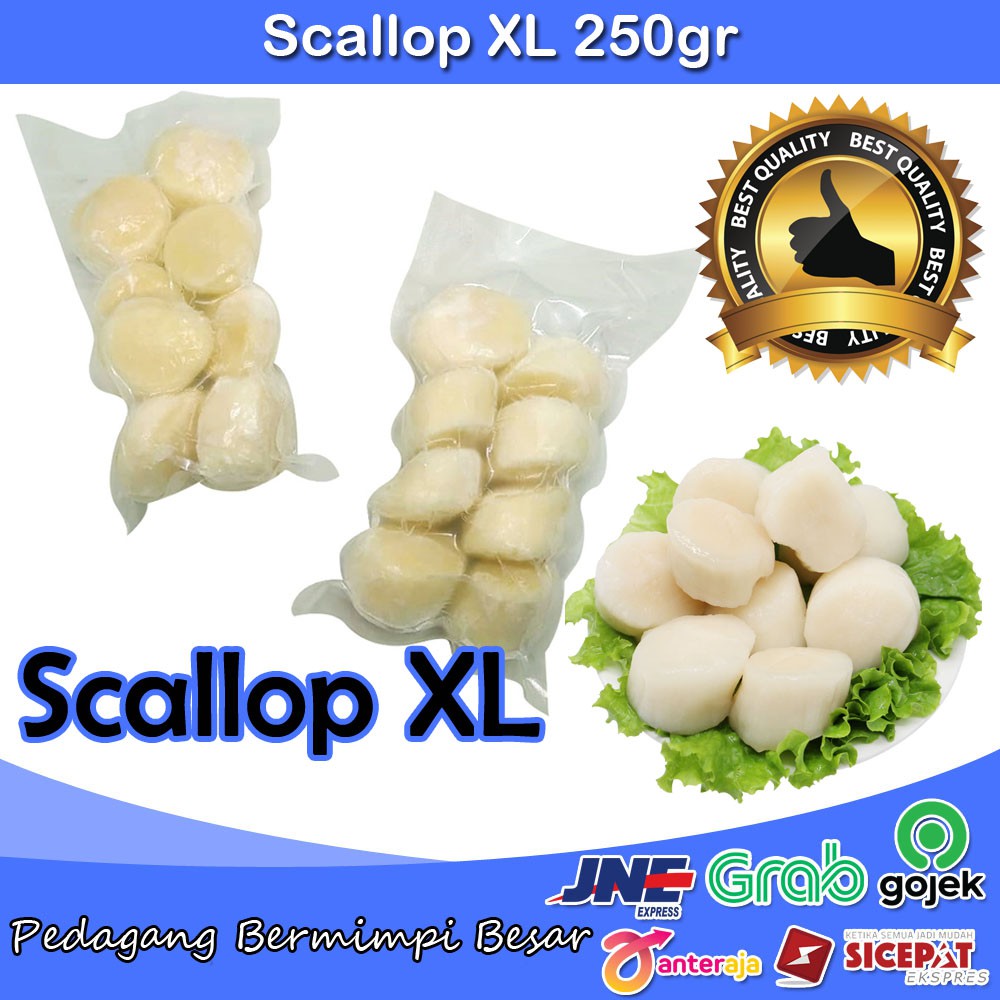 US Scallop Besar 250gr | Scallop Jumbo | Scallop XL | Kerang Kampak