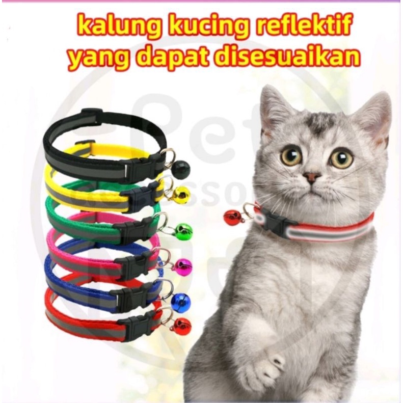 Kalung kucing reflektif