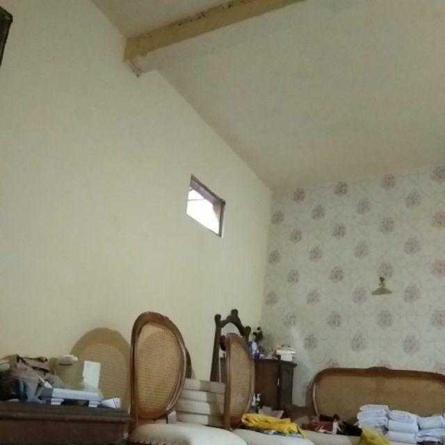 Hiasan Kaktus Palsu, Seculen Artifisial, Kaktus Imitasi