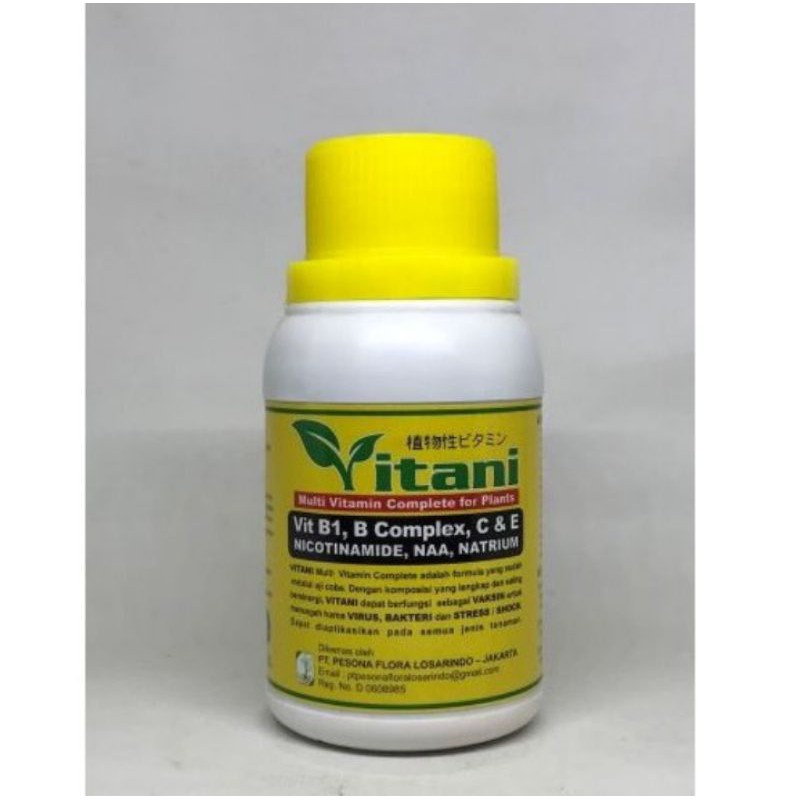 vitamin B1 B complex C E multivitamin VITANI 100ml