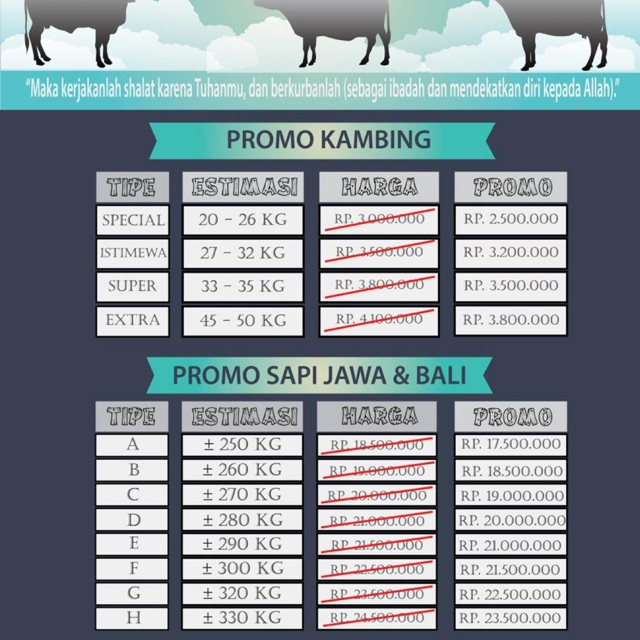 Sapi bali kambing qurban sapi jawa