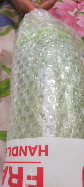 Botol Minum Herbalife 1 Liter Warna Hijau