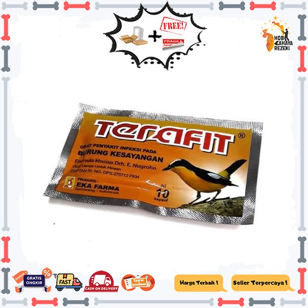 Obat Infeksi untuk Burung Terafit