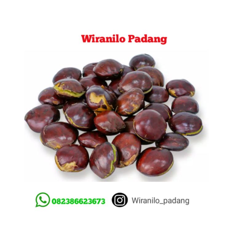 

Jengkol Mentah Pesisir Selatan - Wiranilo Padang