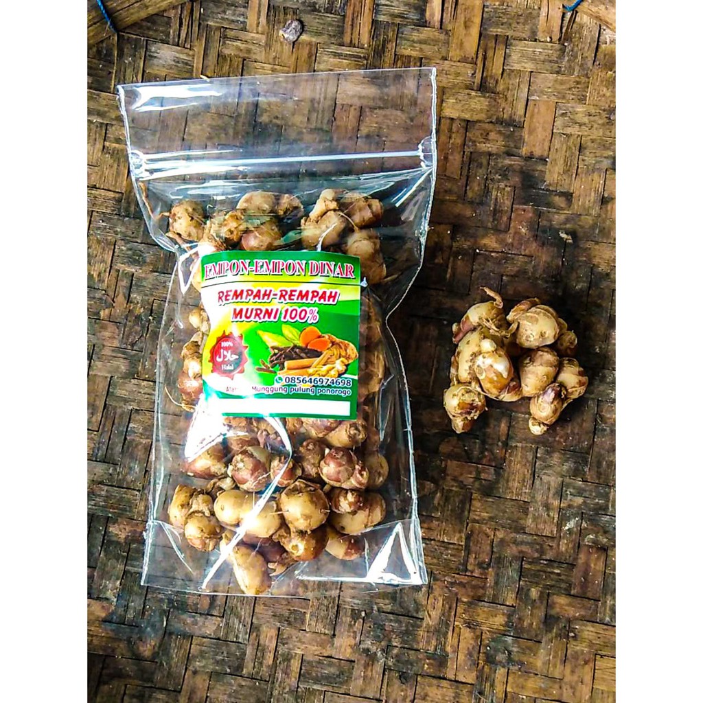 

Kencur 200 gram murah segar super bibit