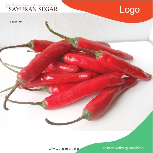 

Cabe Merah Besar -