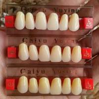 GIGI PALSU DEPAN ATAS / ANTERIOR UPPER CAIYU