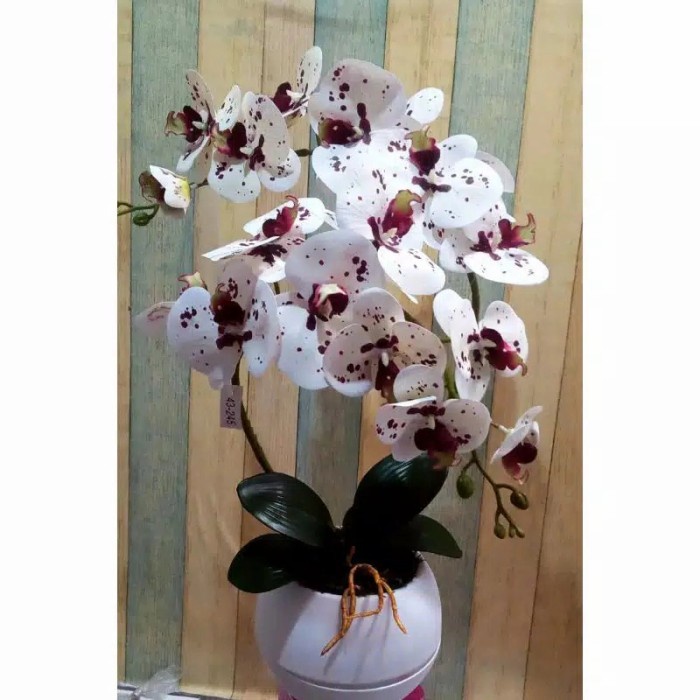 Hiasan Meja - Bunga Anggrek Latex Jumbo Import Vas Bola Bung Hiasan Meja Pajangan Ru