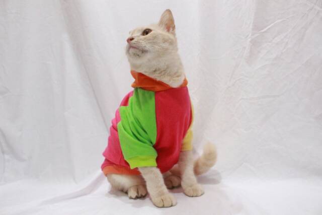 Kaos Jumper hoodie joker 1 untuk kucing dan anjing size S-XL / baju kucing terlaris 2019