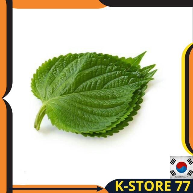 

MAKANAN KOREA/KOREAN FOOD/DAUN KOREA PERILA LEAF FRESH(DAUN WIJEN MUDA)BUNGKUSAN BBQ SEPERTI K-DRAMA