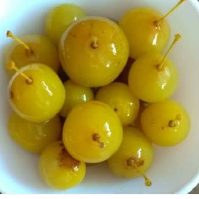 

Manisan canar