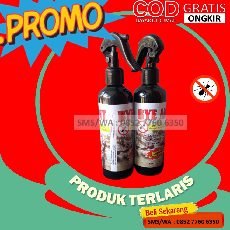 Obat Semut Bye Ant