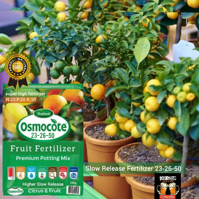 Pupuk sr merah 100g, pupuk slow release merah 23-26-50 100g, pupuk osmocote merah 23-26-50, pupuk bu