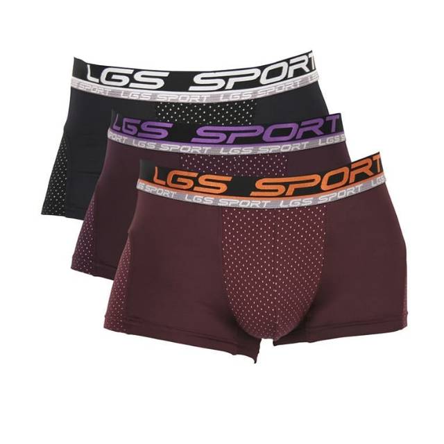 Lgs boxer pria