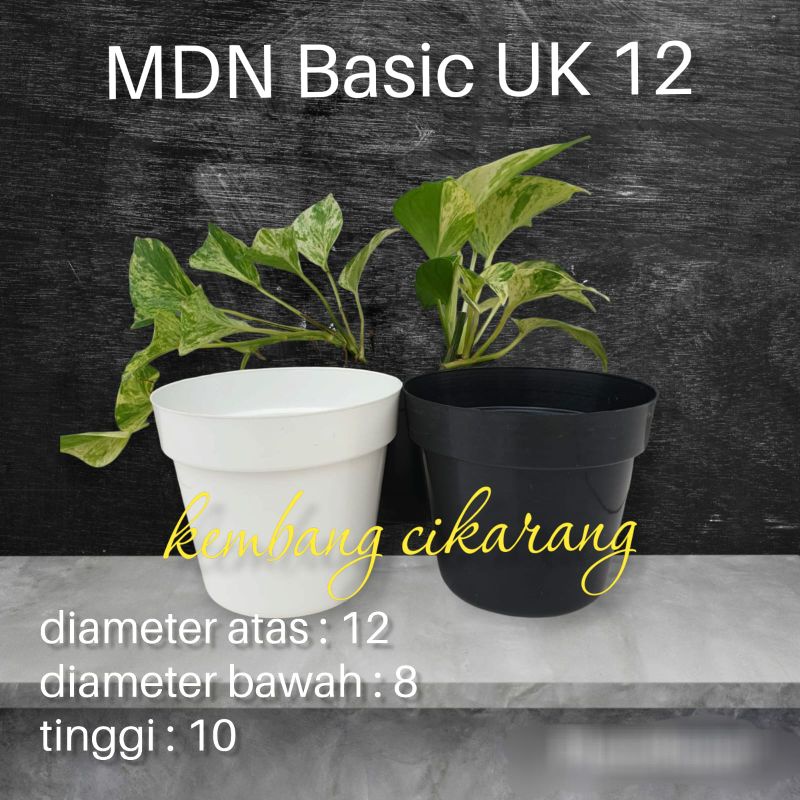 POT BASIC uk 12 : pot bunga biasa ukuran 12cm pot murah pot semai