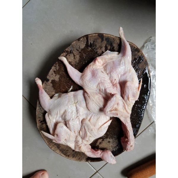 

BURUNG PUYUH LOKAL. 110 GRAM SAMPAI 125 GRAM isi 10.perpack