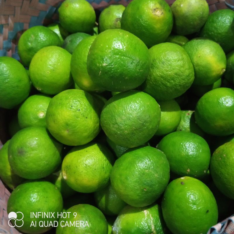 

Jeruk Nipis Lokal 250gram