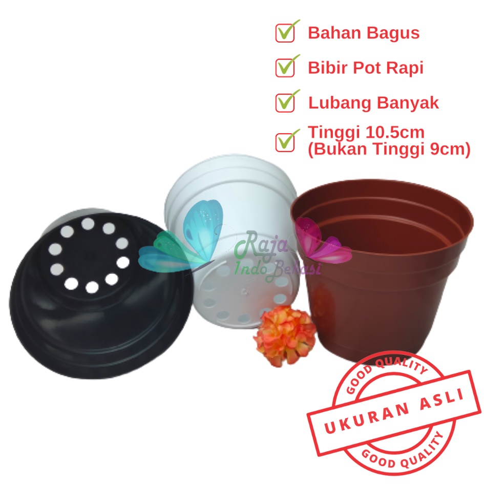 Pot 12 Cm Putih Hitam Merah Bata Merah Coklat Terracota Terracotta - Pot 12 Hitam Kecil Mini Minimalis Plastik Kaktus Sukulen Mini Murah Pot Bibit Pembibitan