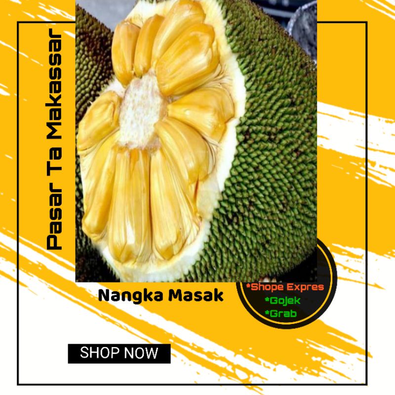 

Perpotong Nangka Masak