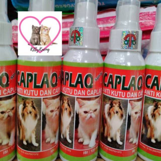 CAPLAQ Spray Obat Kutu Dan Caplaq Kucing Anjing