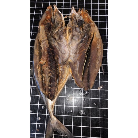 trakulu atau tongkol kuning