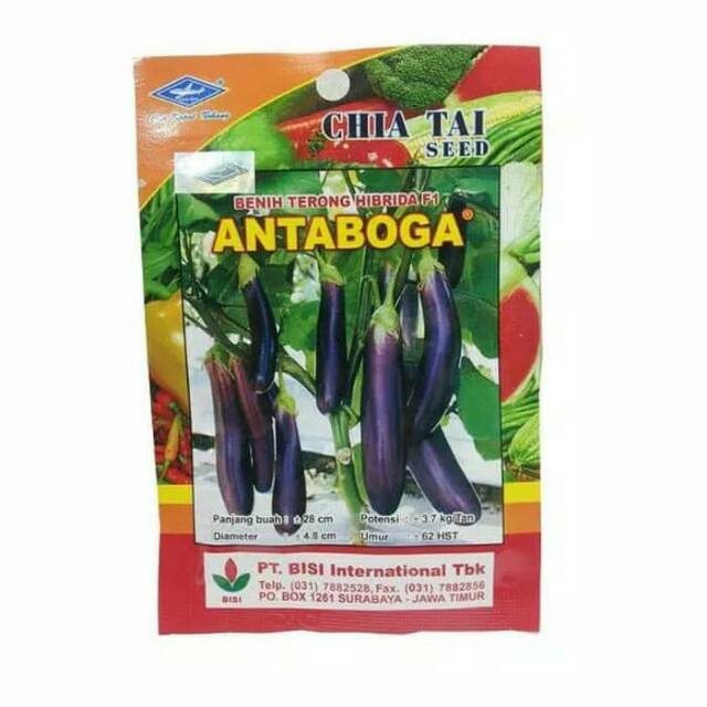 Antaboga F1 volume 10 gram benih terong