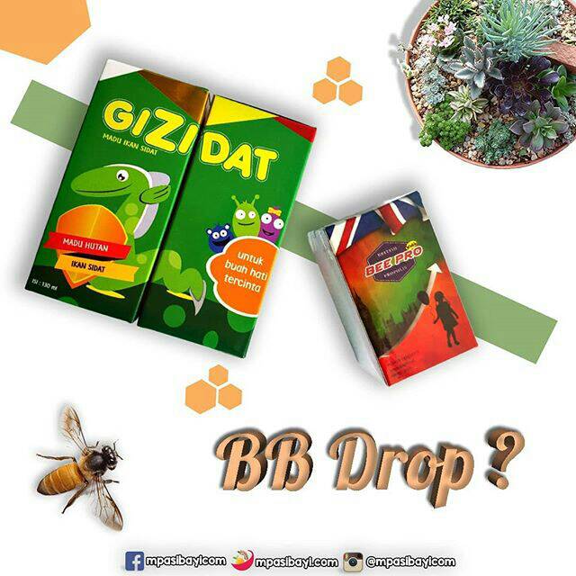 

Paket Bb booster