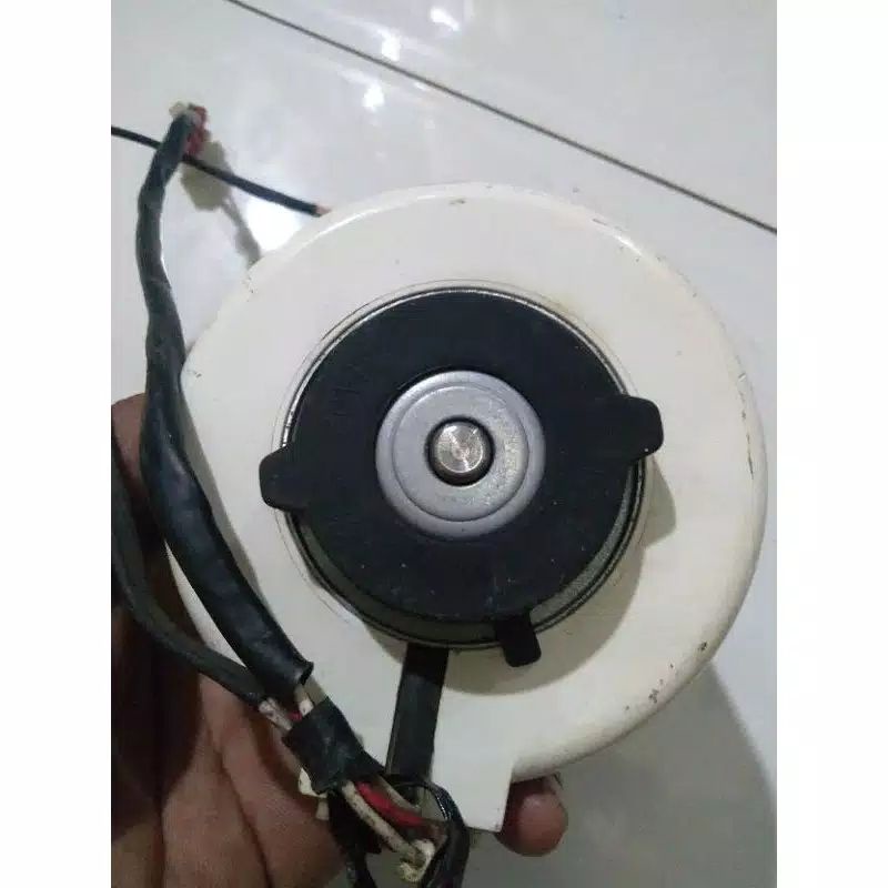 Dinamo fan AC SHARP 2pk