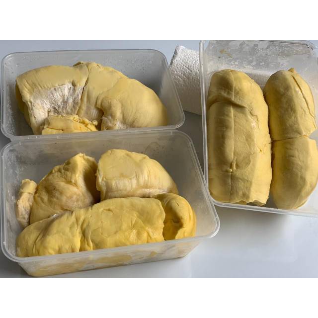 

Durian Montong Sulawesi