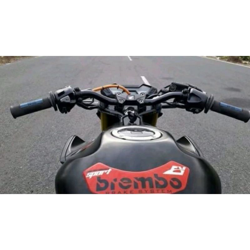 Stang original rzr racing pnp to new cb150r
