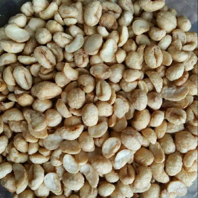 

Kacang Bogor Super