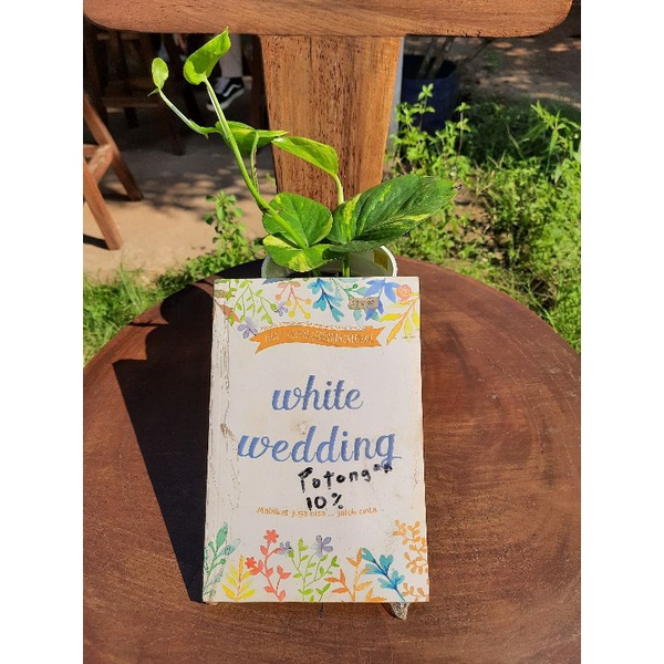 White Wedding - Ziggy Zezsyazeoviennazabrizkie