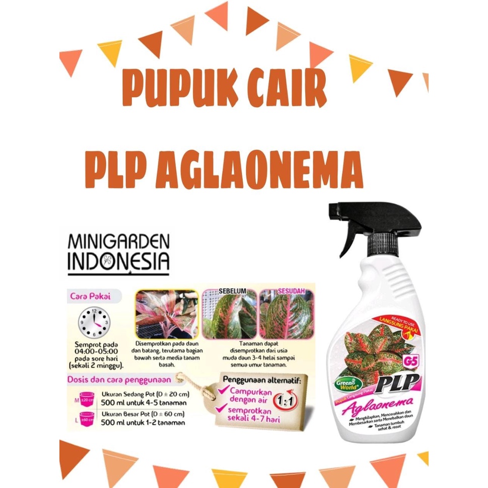 PLP AGLAONEMA 480 ML PUPUK CAIR SIAP PAKAI kilap daun tanaman hias daun corak batik daun tebal