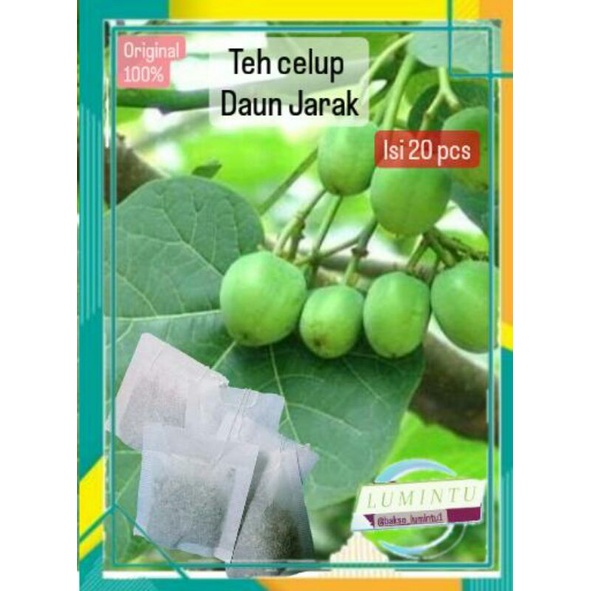 

teh , daun jarak isi 20 pcs , daun jarak cina , teh daun , original daun jarak